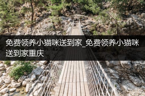 免費領養(yǎng)小貓咪送到家_免費領養(yǎng)小貓咪送到家重慶