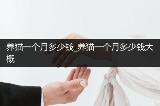 養(yǎng)貓一個(gè)月多少錢(qián)_養(yǎng)貓一個(gè)月多少錢(qián)大概