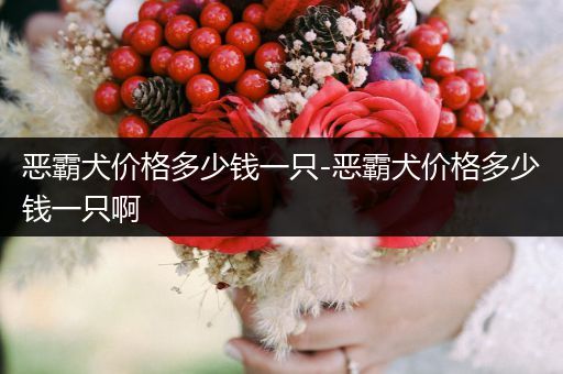 惡霸犬價格多少錢一只-惡霸犬價格多少錢一只啊