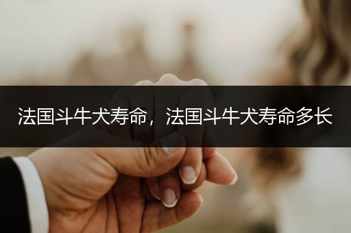 法國斗牛犬壽命，法國斗牛犬壽命多長