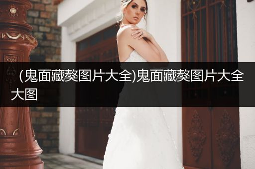 （鬼面藏獒圖片大全)鬼面藏獒圖片大全大圖