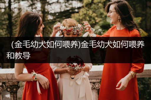（金毛幼犬如何喂養(yǎng))金毛幼犬如何喂養(yǎng)和教導(dǎo)