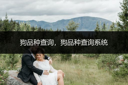 狗品種查詢，狗品種查詢系統(tǒng)