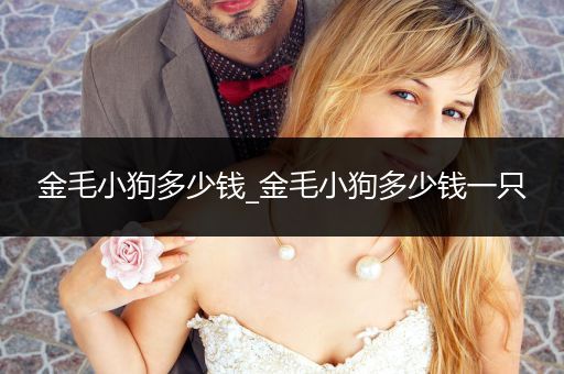 金毛小狗多少錢(qián)_金毛小狗多少錢(qián)一只