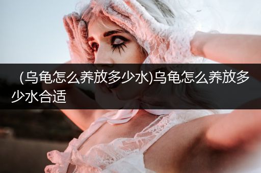 （烏龜怎么養(yǎng)放多少水)烏龜怎么養(yǎng)放多少水合適