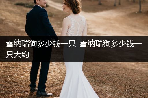 雪納瑞狗多少錢一只_雪納瑞狗多少錢一只大約