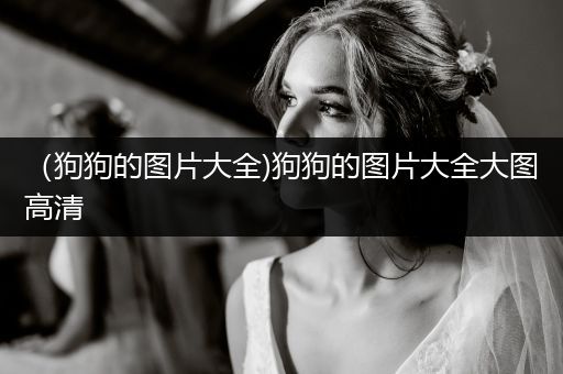 （狗狗的圖片大全)狗狗的圖片大全大圖高清