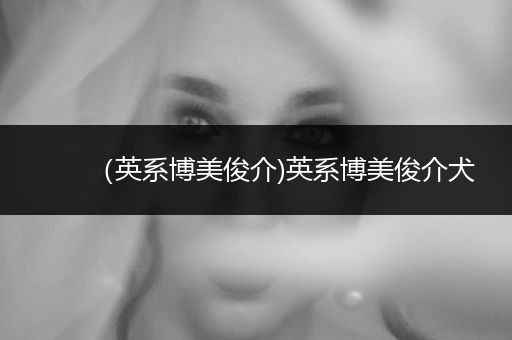 （英系博美俊介)英系博美俊介犬