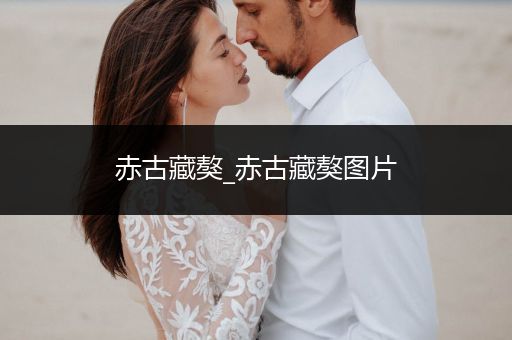 赤古藏獒_赤古藏獒圖片