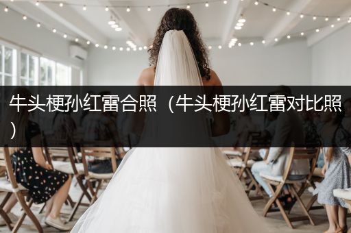 牛頭梗孫紅雷合照（牛頭梗孫紅雷對比照）