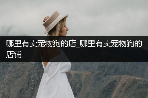 哪里有賣(mài)寵物狗的店_哪里有賣(mài)寵物狗的店鋪