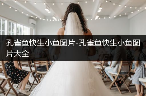 孔雀魚快生小魚圖片-孔雀魚快生小魚圖片大全