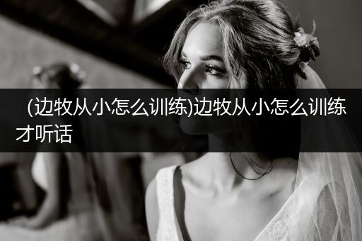 （邊牧從小怎么訓(xùn)練)邊牧從小怎么訓(xùn)練才聽話