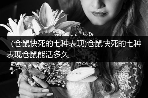 （倉(cāng)鼠快死的七種表現(xiàn))倉(cāng)鼠快死的七種表現(xiàn)倉(cāng)鼠能活多久