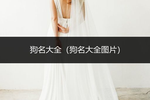 狗名大全（狗名大全圖片）