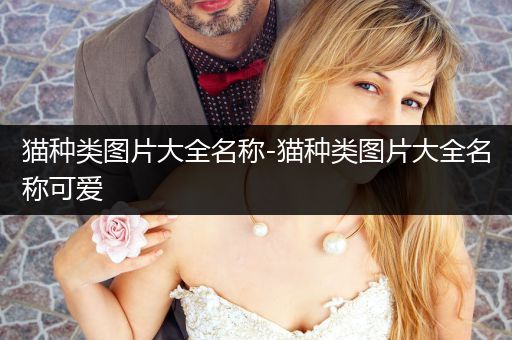 貓種類(lèi)圖片大全名稱-貓種類(lèi)圖片大全名稱可愛(ài)