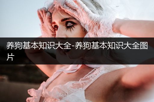 養(yǎng)狗基本知識(shí)大全-養(yǎng)狗基本知識(shí)大全圖片