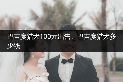 巴吉度獵犬100元出售，巴吉度獵犬多少錢