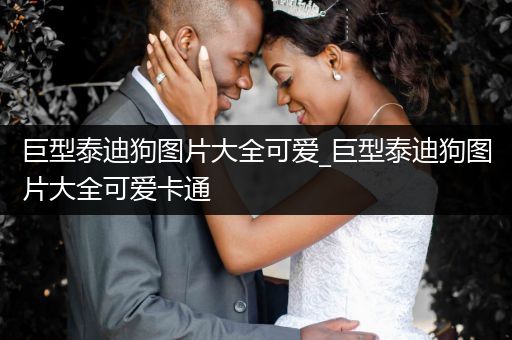 巨型泰迪狗圖片大全可愛(ài)_巨型泰迪狗圖片大全可愛(ài)卡通