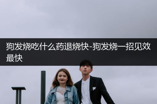 狗發(fā)燒吃什么藥退燒快-狗發(fā)燒一招見(jiàn)效最快