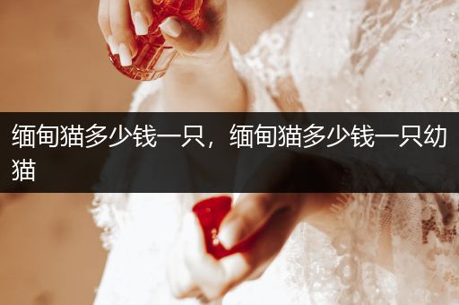 緬甸貓多少錢一只，緬甸貓多少錢一只幼貓