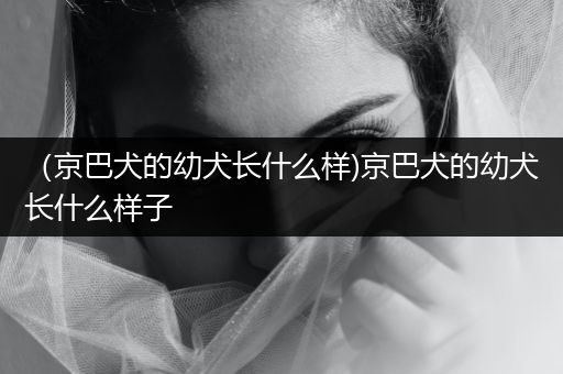 （京巴犬的幼犬長什么樣)京巴犬的幼犬長什么樣子