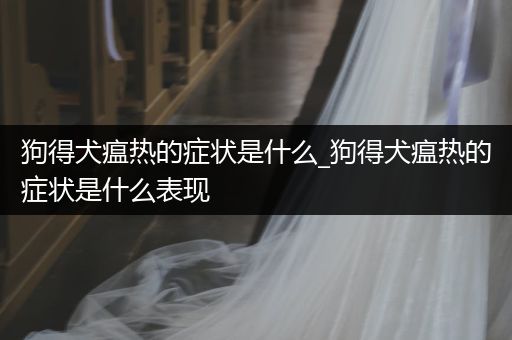 狗得犬瘟熱的癥狀是什么_狗得犬瘟熱的癥狀是什么表現(xiàn)