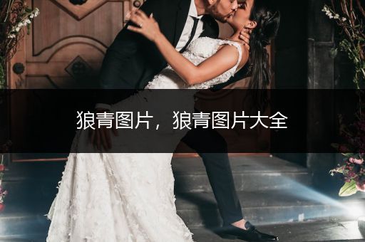 狼青圖片，狼青圖片大全