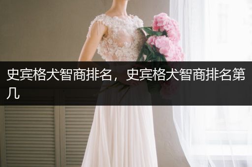 史賓格犬智商排名，史賓格犬智商排名第幾