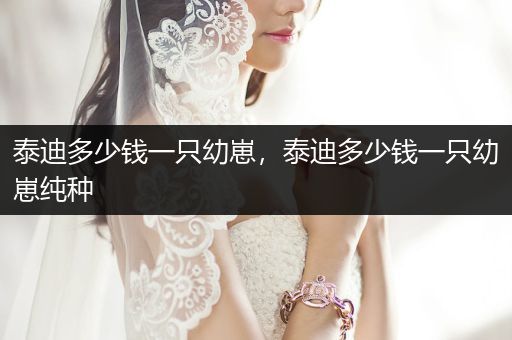 泰迪多少錢(qián)一只幼崽，泰迪多少錢(qián)一只幼崽純種