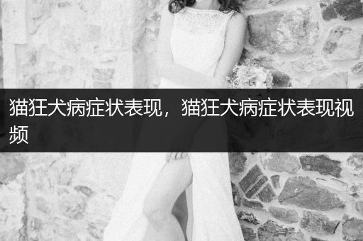 貓狂犬病癥狀表現(xiàn)，貓狂犬病癥狀表現(xiàn)視頻
