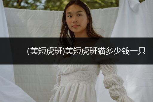 （美短虎斑)美短虎斑貓多少錢一只