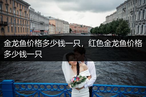 金龍魚價(jià)格多少錢一只，紅色金龍魚價(jià)格多少錢一只