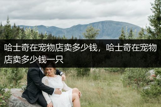 哈士奇在寵物店賣多少錢，哈士奇在寵物店賣多少錢一只