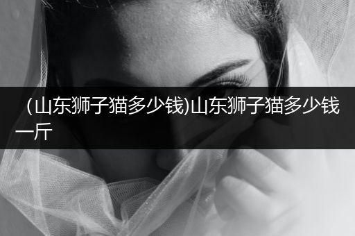 （山東獅子貓多少錢)山東獅子貓多少錢一斤