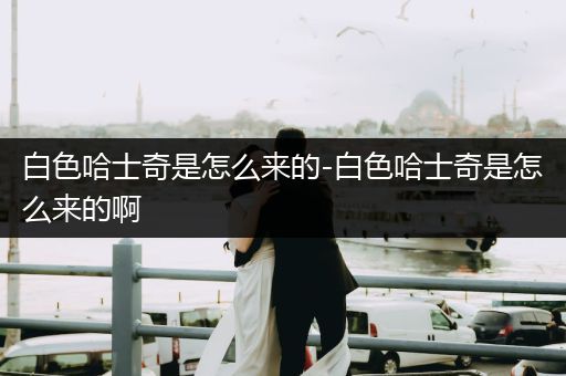 白色哈士奇是怎么來(lái)的-白色哈士奇是怎么來(lái)的啊