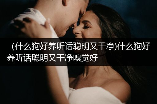 （什么狗好養(yǎng)聽話聰明又干凈)什么狗好養(yǎng)聽話聰明又干凈嗅覺好