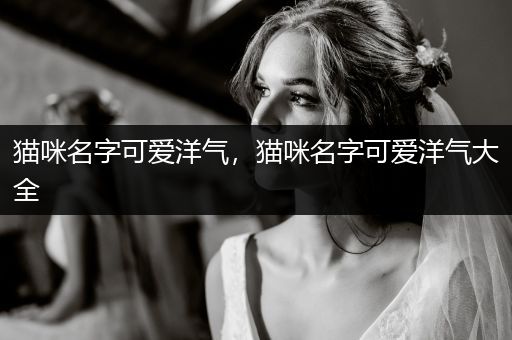 貓咪名字可愛洋氣，貓咪名字可愛洋氣大全