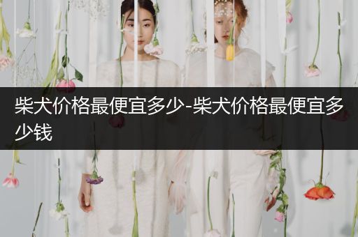 柴犬價格最便宜多少-柴犬價格最便宜多少錢