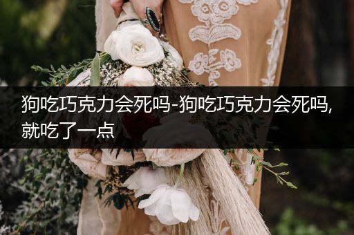 狗吃巧克力會死嗎-狗吃巧克力會死嗎,就吃了一點