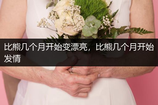 比熊幾個(gè)月開(kāi)始變漂亮，比熊幾個(gè)月開(kāi)始發(fā)情