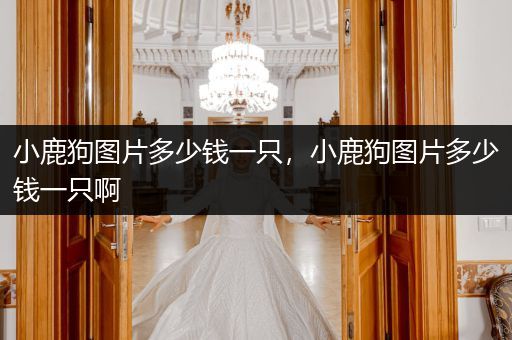 小鹿狗圖片多少錢一只，小鹿狗圖片多少錢一只啊