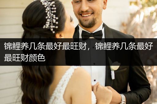 錦鯉養(yǎng)幾條最好最旺財(cái)，錦鯉養(yǎng)幾條最好最旺財(cái)顏色