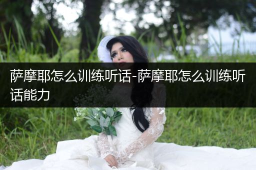 薩摩耶怎么訓(xùn)練聽話-薩摩耶怎么訓(xùn)練聽話能力