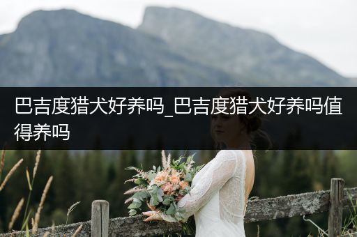 巴吉度獵犬好養(yǎng)嗎_巴吉度獵犬好養(yǎng)嗎值得養(yǎng)嗎