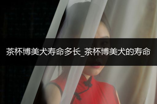 茶杯博美犬壽命多長_茶杯博美犬的壽命