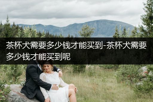 茶杯犬需要多少錢才能買到-茶杯犬需要多少錢才能買到呢