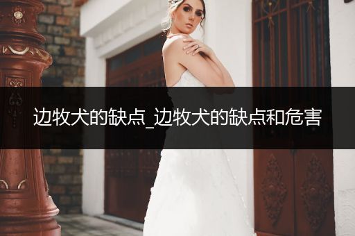 邊牧犬的缺點(diǎn)_邊牧犬的缺點(diǎn)和危害