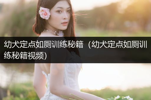 幼犬定點如廁訓(xùn)練秘籍（幼犬定點如廁訓(xùn)練秘籍視頻）