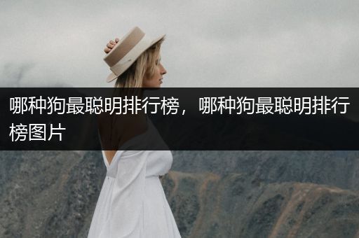 哪種狗最聰明排行榜，哪種狗最聰明排行榜圖片